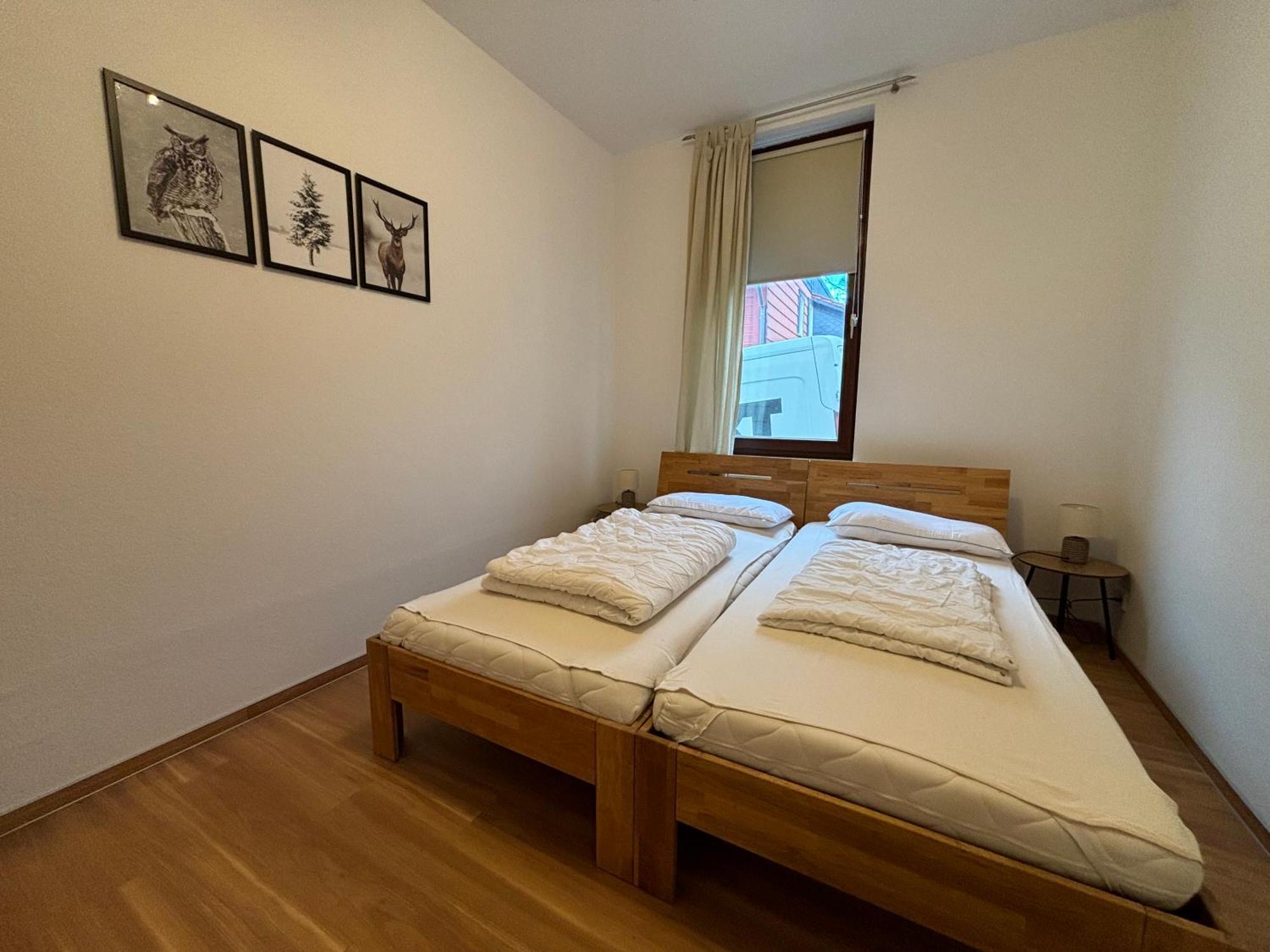 Ferienwohnung Daisy Sankt-Andreasberg Extérieur photo